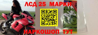a pvp Обнинск